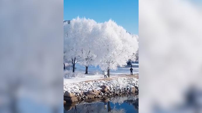 吉林松花江畔现雾凇景观，树木犹如沾满“糖霜”