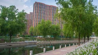 北京：在冬奥竞赛场馆和重要联络线实施绿化建设251.2公顷
