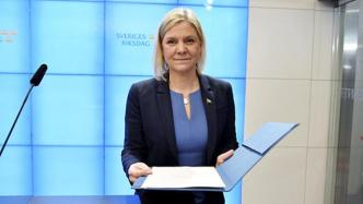 当选、辞职、再当选：瑞典首位女首相背后的政治版图变迁