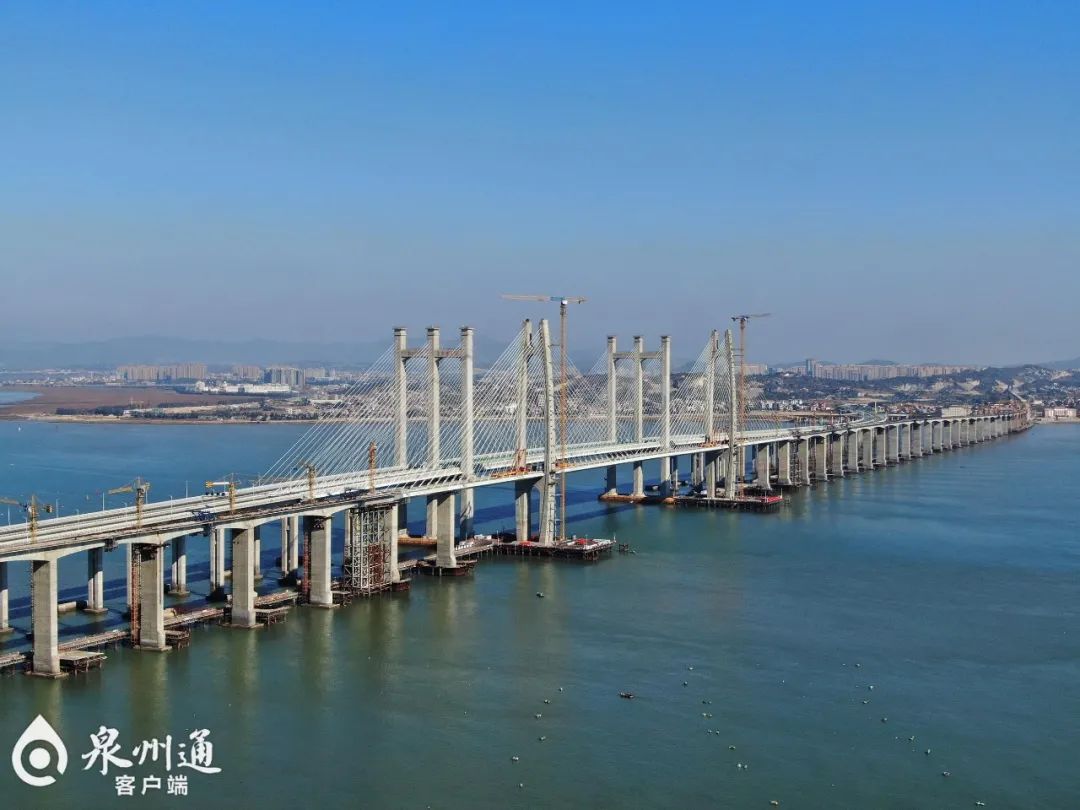 2023深圳湾大桥游玩攻略,嗯，大桥还是很美的，周边景...【去哪儿攻略】