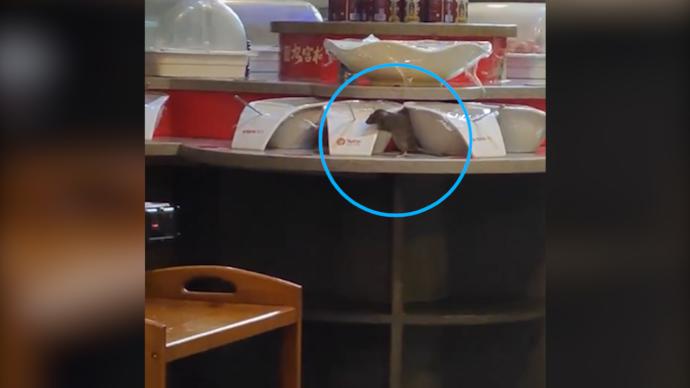顾客在合肥一连锁火锅店吃完饭，发现老鼠在小料台吃得正香