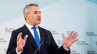 两个月内连换三任总理，奥地利内政部长将接任该国总理一职