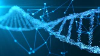 纳米与生命：纳米技术如何重塑医学和生物学的未来
