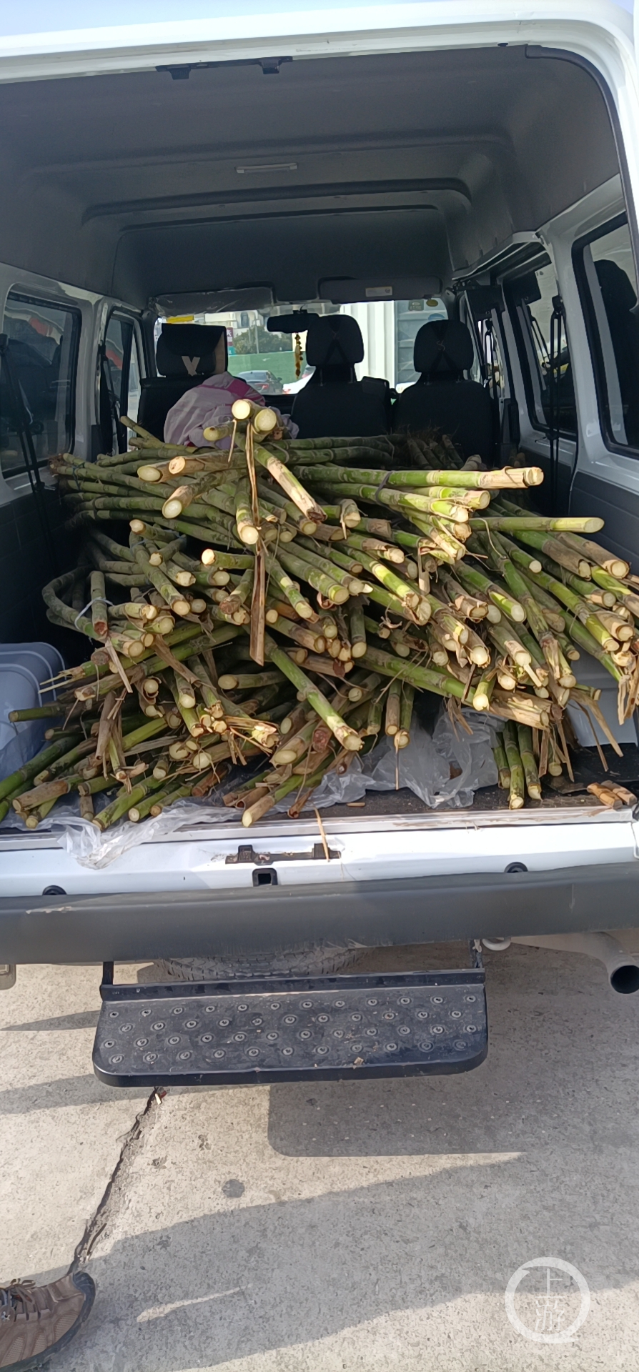 12月8日，江苏海门，当地爱心人士帮倪先生销售了300根甘蔗。图片来源/受访者供图