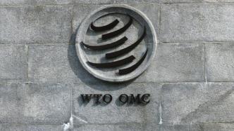 商务部：支持WTO发挥更大作用，推动多边体制包容性发展