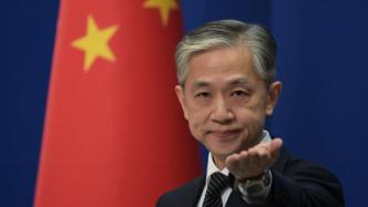 中国政府坚定开展国际追逃追赃，外交部介绍情况