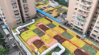 开窗眺望一片色彩斑斓！上海静安新增一处超大屋顶绿化