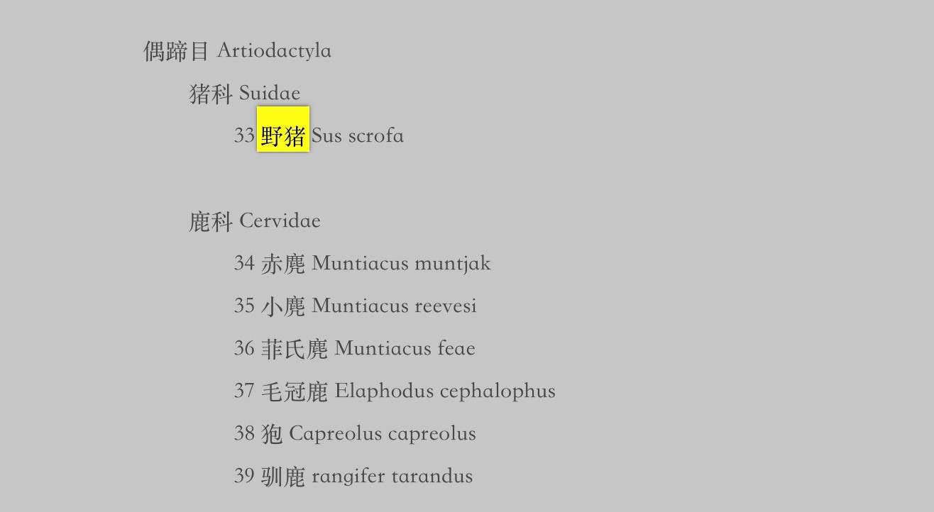 科学研究价值的陆生野生动物名录》野猪位列其中,而在近日发布的"三有