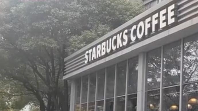 视频 澎湃新闻 thepaper.cn