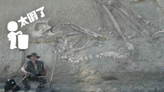 明查｜世界上发现2万多巨人化石？