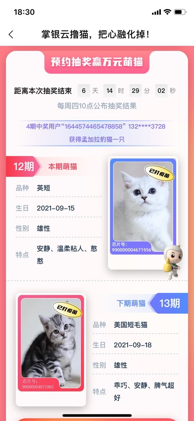 广东农行抽奖奖品是万元活猫引热议 合作方 品质由银行把控 直击现场 澎湃新闻 The Paper