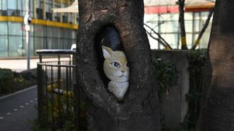 上海虹口用彩绘“外衣”修补树洞：一批“小动物”爬上行道树