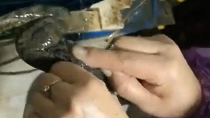 現(xiàn)場畫面曝光！上海一店鋪給牛蛙注水增重被罰5萬