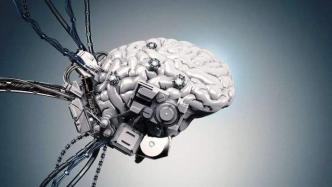 比AI还快？实验室培育的“迷你人脑”五分钟学会玩视频游戏