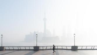 一觉醒来宛如置身仙境，上一次上海这么大雾还是在去年年底