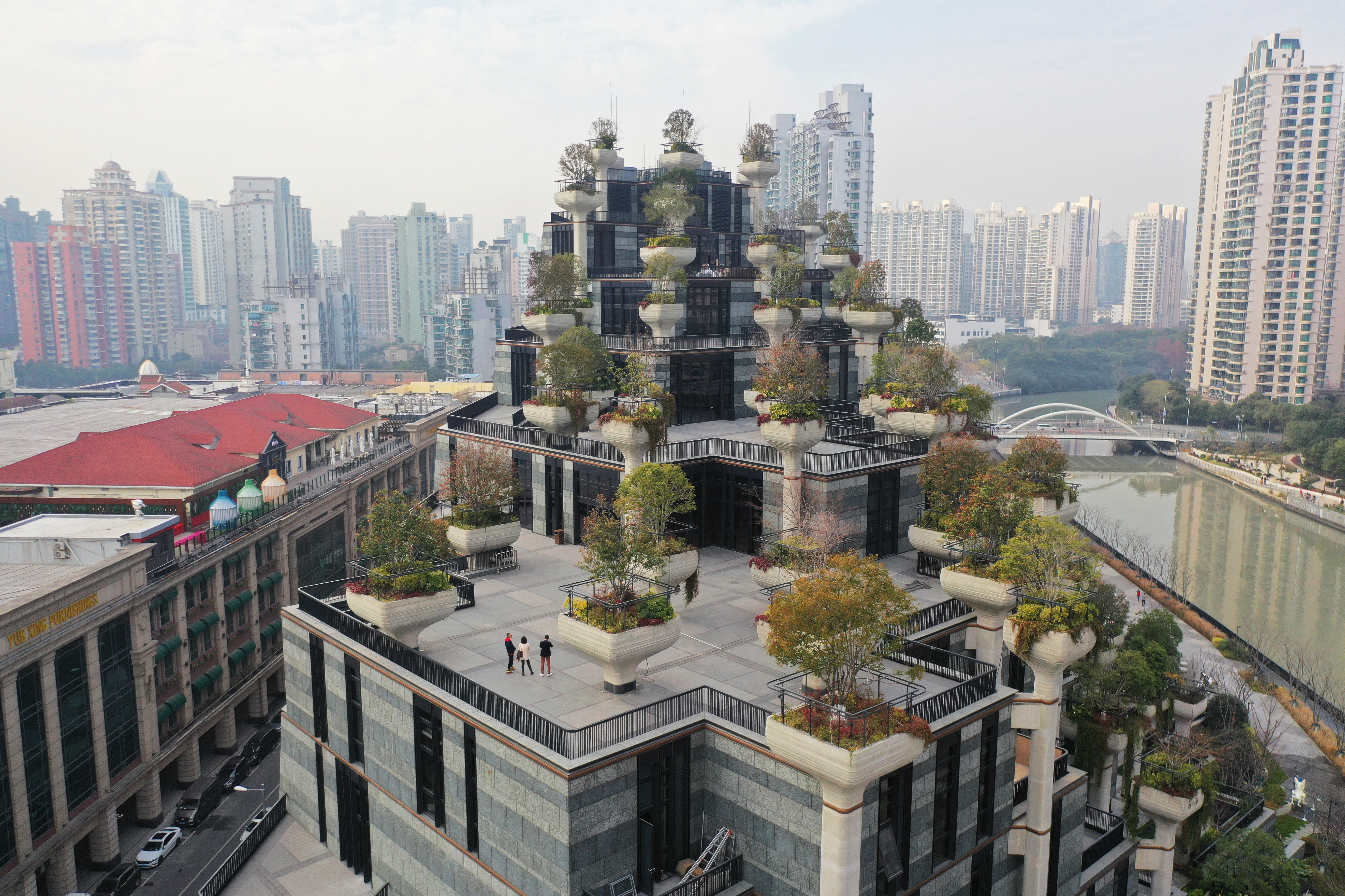 上海空中花园天安千树图片