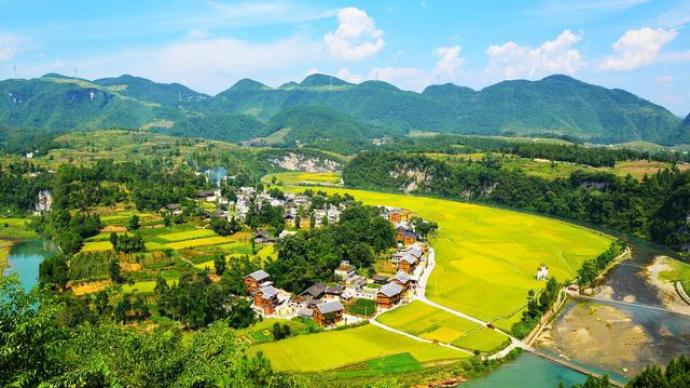 中國農業農村現代化之路：政經約束與農政變革