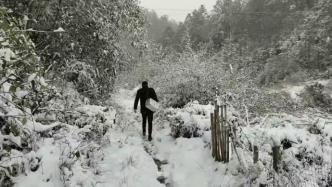 湖南宁乡大雪封山，村医徒步几十公里上门为老人送药