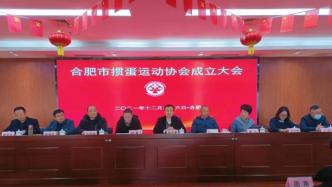 合肥市掼蛋运动协会正式成立，苏、皖两省已有多家掼蛋协会