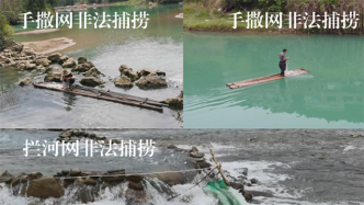 贵州一保护区内饭店销售野生鱼，16名河长管不好两条河？