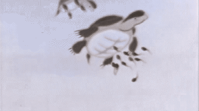 世界電影誕生日︱《小蝌蚪找媽媽》：全球首部水墨動畫的誕生