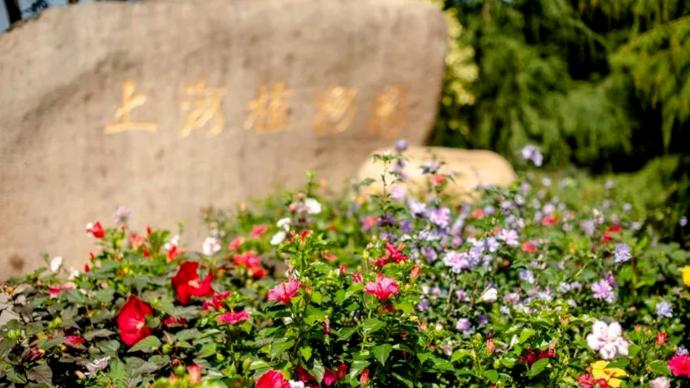 上海植物园明年1月1日起免大门票开放，游园需预约