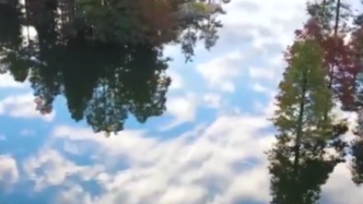 天空之镜！江苏大溪水库的杉林“长”在了云端上