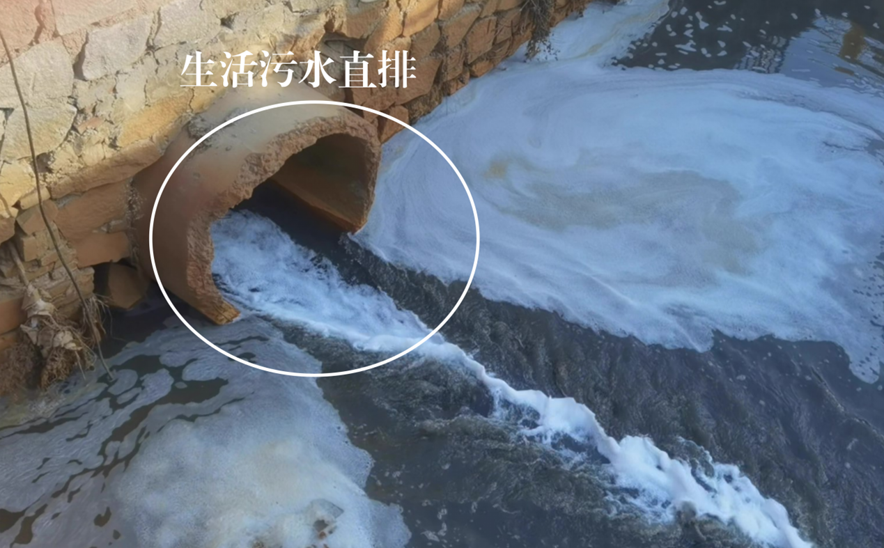 督察组现场督察发现,松浦支渠松浦排涝桥下雨水口大量生活污水直排