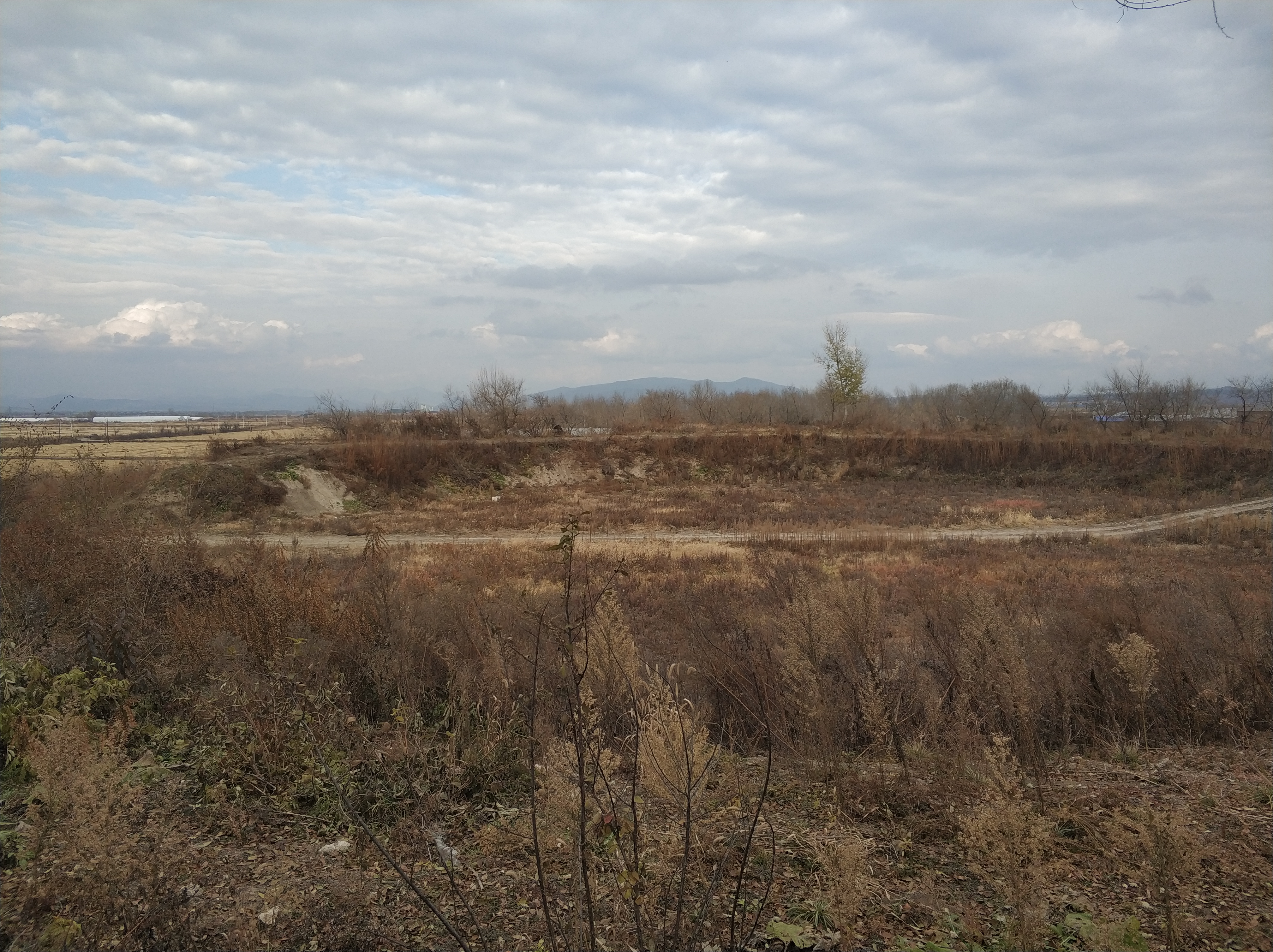 2021年11月，吉林珲春东郊，炮台村遗址区。