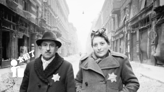 明查｜二战期间丹麦国王和王后佩戴黄色大卫星以保护犹太人？