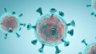 首例新冠+流感双重感染病例出现，专家：可能表明患者免疫系统已崩溃