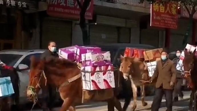陕西一县城用马匹运抗疫物资？ 官方：系骡马队运送捐赠物资