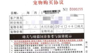 多名消費者稱買到“星期寵”，涉事寵物店成立9個月涉訴9起