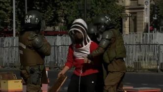 智利养蜂人在总统府前放万只蜜蜂抗议，7名警察被蜇伤