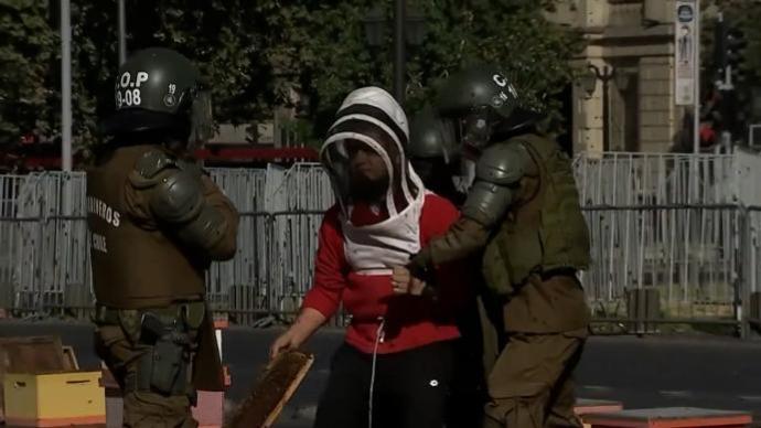 智利养蜂人在总统府前放万只蜜蜂抗议，7名警察被蜇伤