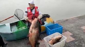 上海对外经贸大学在校园内捕鱼1500斤，请全校师生免费吃