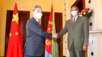 厄立特里亚总统伊萨亚斯会见王毅