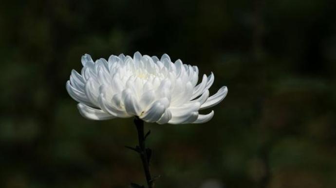 辽宁省委原常委、省纪委原书记王唯众逝世，享年76岁