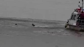 寒潮下，广州水警同一天内连救两名落水者