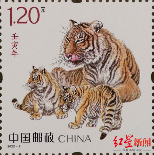 ▲中国邮政发行的虎年生肖邮票第二图