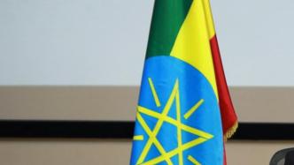 埃塞俄比亚政府宣布赦免部分反对派领导人，拟开展政治对话