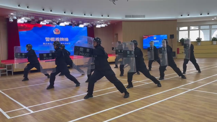 “霸氣”展示警務技能,上海司法行政系統慶祝中國人民警察節