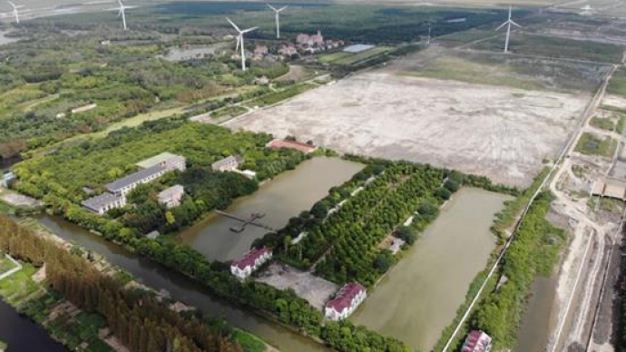 原三盛宏业上海临港鲜花港项目被申请破产重整：占地500亩