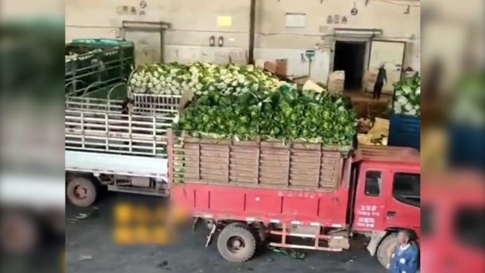 云南小伙购33吨爱心蔬菜驰援西安，免费发放给外来务工人员