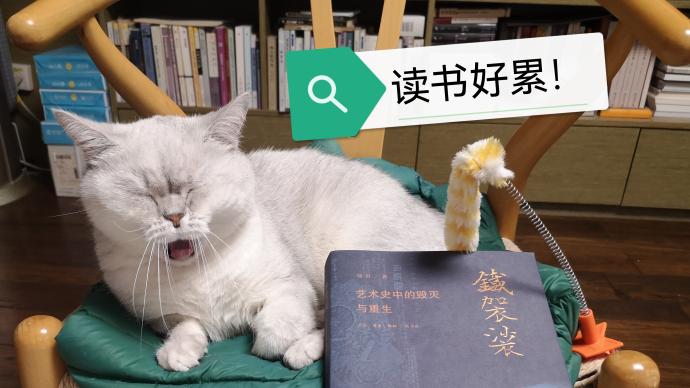 湃书单｜澎湃新闻编辑们在读的11本书：那猫，那书，那故事
