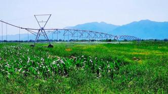 永定河流域上游农业灌溉引水量逐年下降，农业节水效益初显