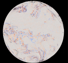 汤加火山爆发后的大气波动，GOES-17卫星红外辐射图，图片来自于Mathew Barlow