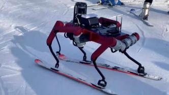 上海交通大学自主研发六足滑雪机器人助力科技冬奥