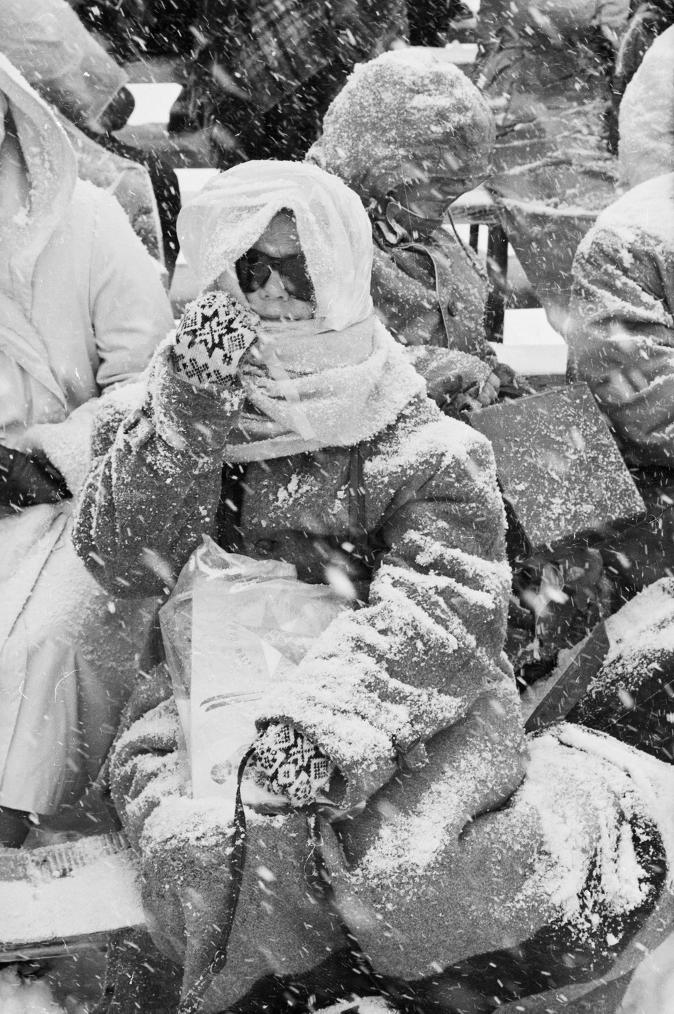 1960年冬奥会图片