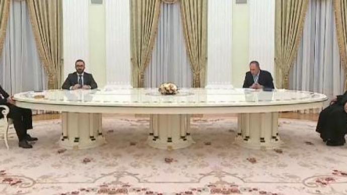 普京会晤伊朗总统，讨论双边合作等问题